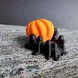 8.jpg Halloween spider - whistle and candy container