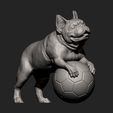 French_Bulldog6.jpg French Bulldog 3D print model