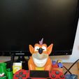 Crash bandicoot
