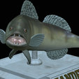 zander-open-mouth-tocenej-25.png fish zander / pikeperch / Sander lucioperca trophy statue detailed texture for 3d printing