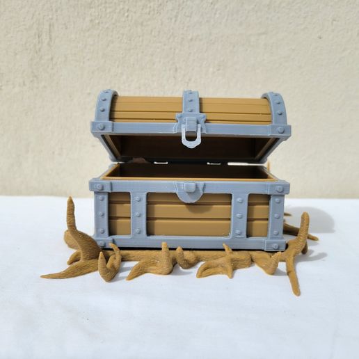 20250409_093516.jpg PIRATE CHEST WITH TENTACLES