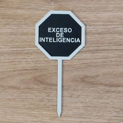 WhatsApp-Image-2023-06-12-at-09.39.36.jpeg STL file Exceso de Inteligencia Topper・3D printable model to download