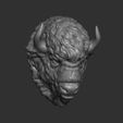 8.jpg Bison angry head