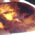 OI000726.JPG CT scan render DINOSAUR in 99 million year old amber from Myanmar
