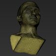 27.jpg Wladimir Klitschko bust 3D printing ready stl obj formats