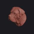 neapolitan_mastiff_0015.jpg Neapolitan Mastiff Head Bust Wall Mount