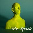 buste_spock_1-title_lt.jpg Bust of Mr. Spock