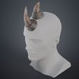 Rhino_horn_main_3Demon.jpg Rhino horns 🦏