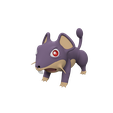 52595444-28d1-4fc6-96ea-c020b573b8d7.png Rattata