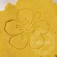 FLOR 1.jpg TROPICAL FLOWER - TROPICAL COOKIE CUTTER - HAWAIIAN FONDANT OR COOKIE CUTTING PLATE