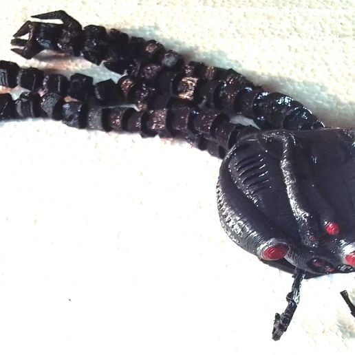 IMG_20240408_170032.jpg sentinel matrix articulated!