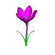 1.png crocus flower