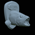 Fr-9.png fish head bass trophy statue detailed texture for 3d printing