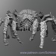 Asteroid-spider.jpg Asteroid spider