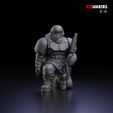 B11.jpg Alpha troops  - Squad of the Imperial Force