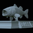 Bass-mount-statue-22.png fish Largemouth Bass / Micropterus salmoides open mouth statue detailed texture for 3d printing