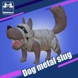 IMG_5533.jpeg Metal slug Mummy dog mummy dog