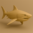 54E029A6-8E59-4ED6-AA79-8542A6ABC18B.png Shark Statue – 3D Printable Model