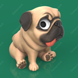 P02.png Мопс с отслеживанием глаз STL и VRML