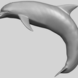 27_TDA0613_Dolphin_03A01.png Dolphin 03