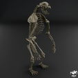 Arctodus-skeleton-1.png Arctodus simus - short faced bear skeleton 3D print model