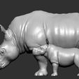 Rhino (3).jpg Rhino