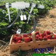 Irrigation-components-strawberry-field-riego3d.com.png Trouser holder d4 for 3d-print
