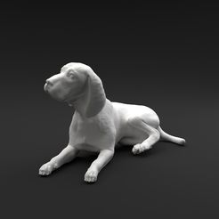 Beagle_laying_down_1.jpg Free 3D file Beagle laying down intended for 3D printing FREE model・3D printable design to download
