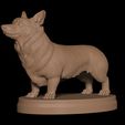 5.jpg Corgi