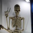20231115131533_IMG_0954.jpg Esqueleto ARTICULADO bone by bone / ARTICULATED skeleton bone by bone