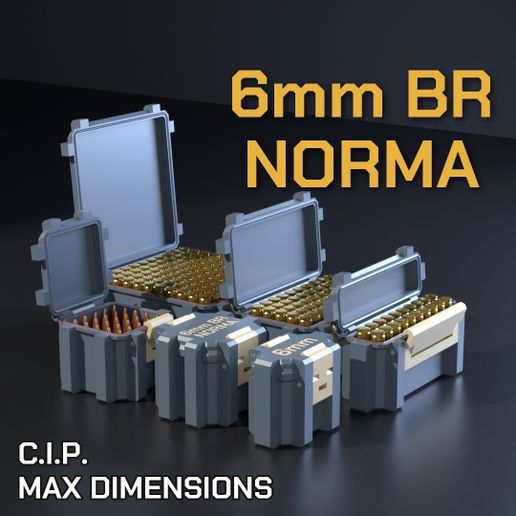 SBOX AMMO BOX 6mm BR Norma AMMUNITION STORAGE 10/20/25/50/100 ROUNDS CRATE ORGANIZER 6mmBR