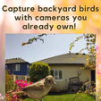 4.png Blink Camera Bird Feeder (2 Versions Included)