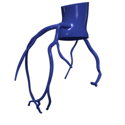 1.png Modèle 3D des artères coronaires