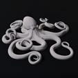 side3.png Octopus Hangable Wall Decoration for Air Plants