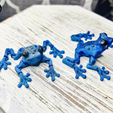 6.png Cinder Frog, Articulating Frog, Tree Frog, Dart Frog, Cinderwing3D, Articulating Flexible Fidget Cute Print in Place No Supports