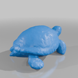 78ad710a-b113-46d8-b6e2-e27dd2b4d968.png turtle