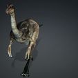 7FR77.jpg DOWNLOAD Dinogall 3D MODEL ANIMATED - BLENDER - 3DS MAX - CINEMA 4D - FBX - MAYA - UNITY - UNREAL - OBJ -  Animal & creature Fan Art People Dinogall Dinosaur Gallimimus Gallimimus Aquilamimus Archaeornithomimus