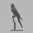2.png STL-Datei Papageienbaum 3D-Druckmodell・3D-druckbare Vorlage zum herunterladen