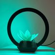 20230401_104717.jpg #PLANTERSXCULTS Planter with Decorative Led Lighting #LAMPSXCULTS