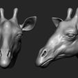 5.jpg 13 animal Heads