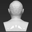 vladimir-putin-bust-ready-for-full-color-3d-printing-3d-model-obj-stl-wrl-wrz-mtl (34).jpg Vladimir Putin bust 3D printing ready stl obj