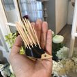 IMG_1072.JPG Toothpick Hedgehog