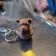 BOSTON-KEYCHAIN.jpg Boston terrier in cup