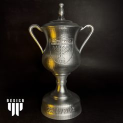 IMG_3439.jpg 3D file Israel Soccer State Cup Replica・3D print design to download