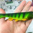 6-Inch-Swimmer-2022-C-002.jpg 6" Swimbait Soft Plasitic Fishing Lure Mold