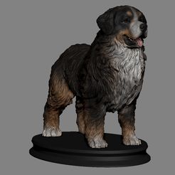 1.jpg Файл STL Бернская горная собака・Шаблон для загрузки и 3D-печати