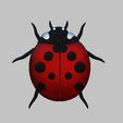 f1.png Marienkäfer, ladybug 3D