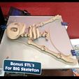 Skeleton_Bigtop_Text.jpg Файл STL Симпатичный скелет с флекси-принтом・Модель 3D-принтера для загрузки