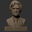 Emil-Cioran-5.jpg Бюст Эмиля Киорана с печатью