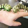 Articulated Chameleon